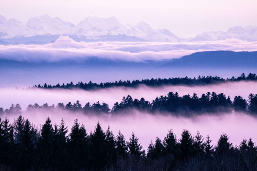 nebel